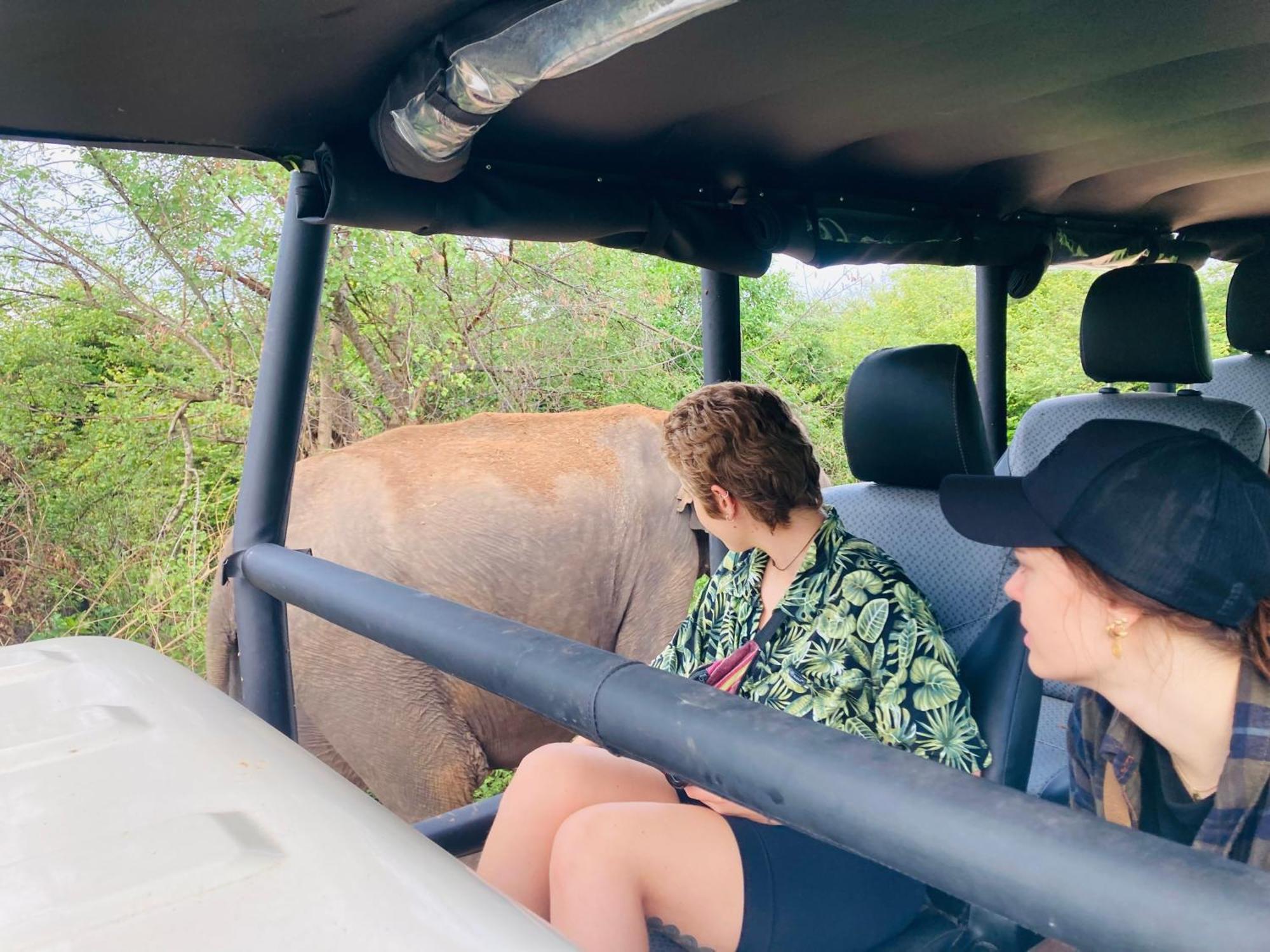 Suncity Privacy Lodge *